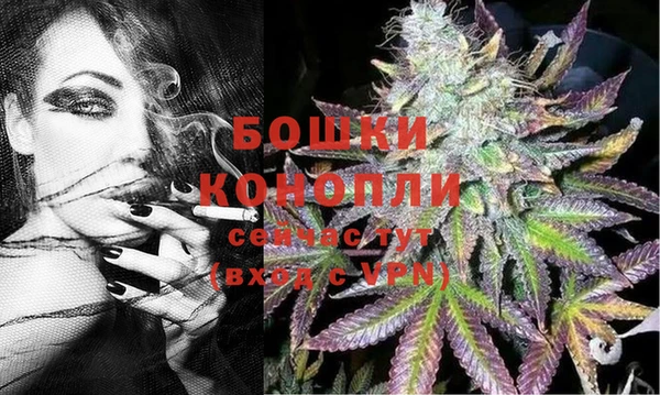 винт Армянск