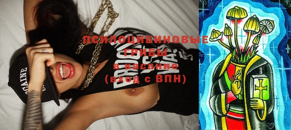 винт Армянск