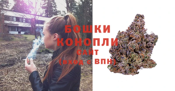 амф Аркадак
