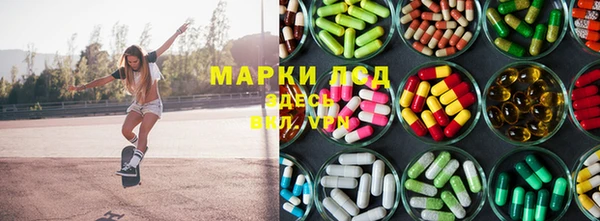 амф Аркадак