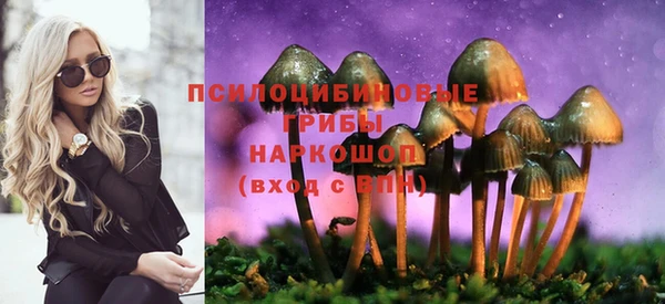 амф Аркадак