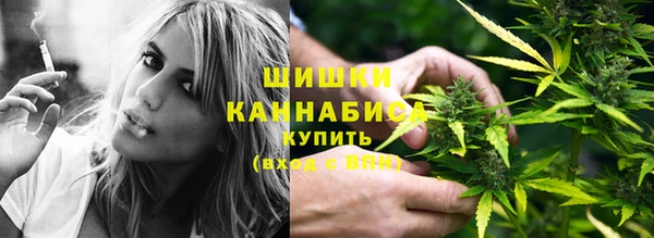 амф Аркадак